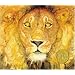 The Lion & the Mouse [Hardcover]