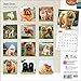 Chow Chows 2015 Wall Calendar