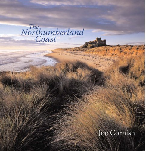 Childrens Toyshop  Travel : The Northumberland Coast