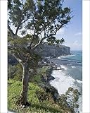 IMAGE OF Photographic Prints of The Mediterranean seaside town of Seiano from Robert Harding