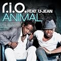 Animal