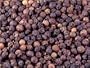 Tellicherry Peppercorns