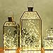CMYK® 3 Pack Led Copper Wire Lights, 15 Micro Starry LEDs Super Bright Warm White Color Wire Rope Lights, 2 x CR2032 Batteries Included on 6.56 Ft/2M Long (Warm White)