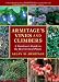 Armitage's Vines and Climbers: A Gardener's Guide to the Best Vertical Plants