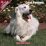 2009 Great Pyrenees Wall Calendar