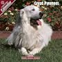 2009 Great Pyrenees Wall Calendar