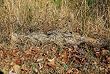 Ghillie Paintball Camouflage Rifle Wrap Synthetic