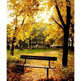 Westcott 835 5-Feet x 6-Feet Autumn in the Park Scenic Background