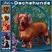   - 366 Days of Dachshunds 2008 Wall Calendar