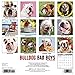 Bulldog Bad Boys 2016 Calendar
