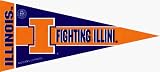 Illinois Fighting Illini Mini Pennant