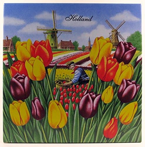 1 Tile -Ter Steege Multi Colored Tile with Picture of a Wonderfull Windmill Tulips field Landscape) Size 6"x6" /15cm x 15cm