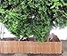 Master Garden Products No Bark Carbonized Willow Border Fence, 2 by 8-Feet