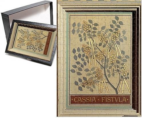 Photo Jigsaw Puzzle of Cassia fistula, canafitula