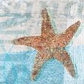 She Sells Seashells III - 16 x 16"