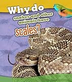Why do snakes and other animals have scales?