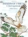 Birds of Prey Coloring Book (Coloring Books)
