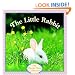The Little Rabbit