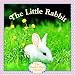 The Little Rabbit (Pictureback(R))