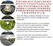 The Secret Earn More Money, Inner Game and Biz Networking for Home Cinema Systems Internet Businesses 3 CD Power Pack