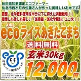秋田県認定エコファーマーが作る安心と安全の検査一等米！！【ecoライスあきたこまち】玄米30kg