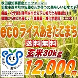 秋田県認定エコファーマーが作る安心と安全の検査一等米！！【ecoライスあきたこまち】玄米30kg
