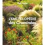 L'encyclop�dies des Gramin�es