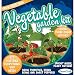 DuneCraft Outdoor Garden Kit Tomato, Bush Bean and Sweet Pepper