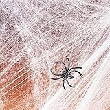 Spider Web Streachable white with (2) Spiders Pkg/1