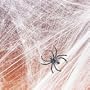 Spider Web Streachable white with (2) Spiders Pkg/1