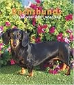 Dachshunds 2008 Hardcover Weekly Engagement Calendar (Multilingual Edition)