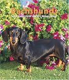 Dachshunds 2008 Weekly Calendar