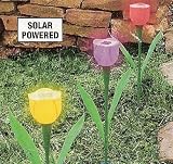 18 SOLAR TULIPS - SET OF 6
