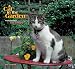 A Cat In the Garden 2009 Wall Calendar