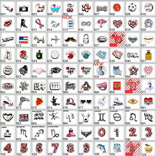 Choose 10pc of Mix Floating Charms for Floating Locket Free Shipping Exclusively Sold by HOTBUYKING