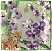Entertaining with Caspari Orchid Show Paper Salad/Dessert Plate, 8-Count