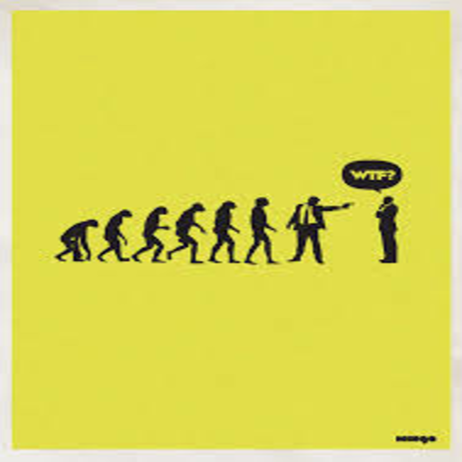 Funny Photos