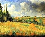 Fields