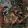 Spawning The Nephilim