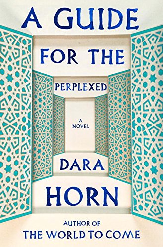 A Guide for the Perplexed: A Novel