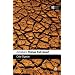 Achebe's Things Fall Apart (Readers Guide)