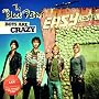 Boys Are Crazy (2-Track-Single) von the Black Pony