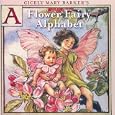 The Ragged Robin Fairy