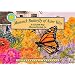 Monarch Butterfly of Aster Way - a Smithsonian's Backyard Book