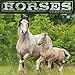 Horses 2016 Mini Calendar