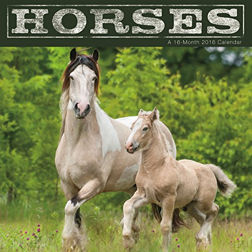 Horses 2016 Mini Calendar