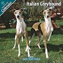 Italian Greyhound Calendar 2010