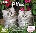 2011  Kittens  Mini Calendar