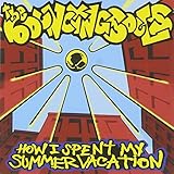 How I Spent My Summer Vacation