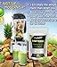 Modern Sip Matcha Green Tea Powder - 100% Natural, 167x Anti-aging Antioxidants Than Brewed Green Tea - Great Tasting Easy to Make Matcha Green Tea - Which Helps Weight Loss, Fat Burner, Increase Immunity, Enhance Energy, Metabolism Booster, Improve Mental Focus, Yogi Detox Healthy Cleansing Formula, Eliminate Dangerous Free Radicals & Rejuvenate Your Skin - Can Be Used for Tea or Ice Cream, Sipping, Baking, Pastries, Smoothies